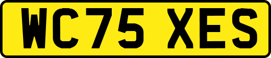 WC75XES