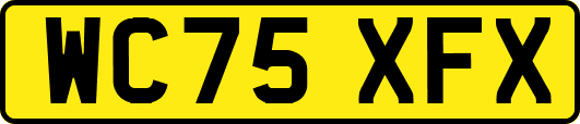 WC75XFX