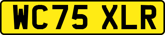 WC75XLR