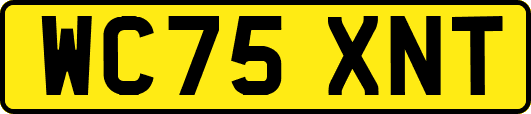 WC75XNT