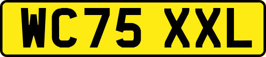WC75XXL