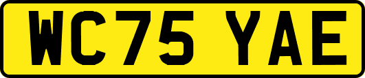 WC75YAE