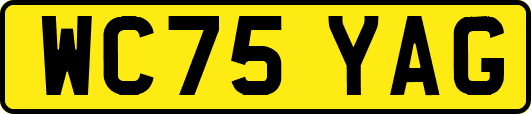 WC75YAG