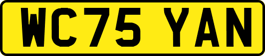 WC75YAN