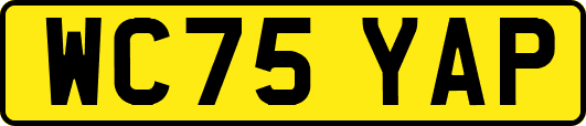WC75YAP