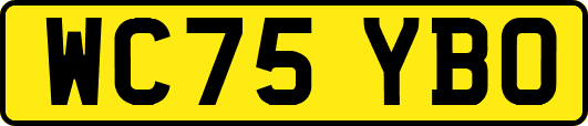 WC75YBO