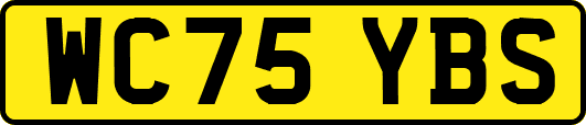 WC75YBS