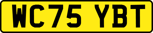 WC75YBT
