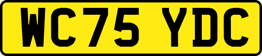 WC75YDC