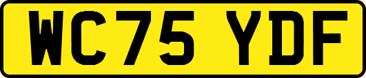 WC75YDF