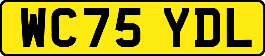 WC75YDL
