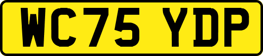 WC75YDP