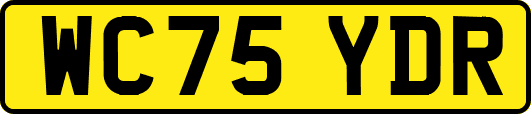 WC75YDR
