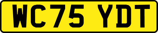 WC75YDT