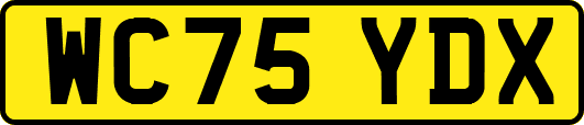 WC75YDX