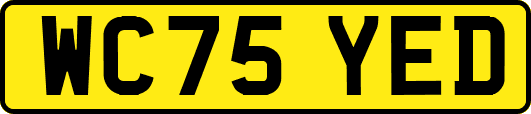 WC75YED