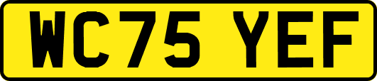 WC75YEF