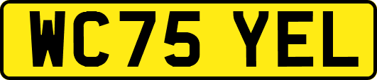 WC75YEL