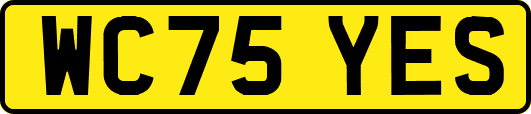 WC75YES
