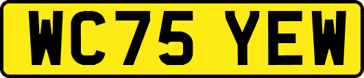 WC75YEW