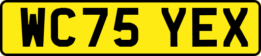 WC75YEX