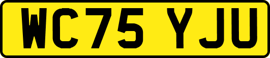 WC75YJU