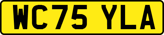 WC75YLA