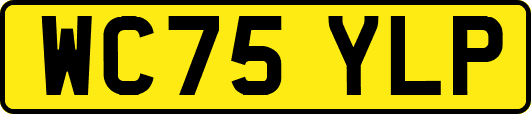 WC75YLP