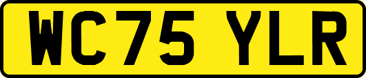 WC75YLR