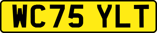 WC75YLT