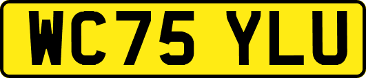 WC75YLU