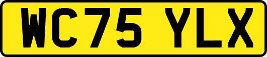WC75YLX