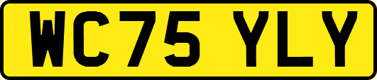 WC75YLY