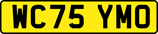 WC75YMO
