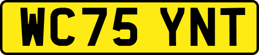 WC75YNT
