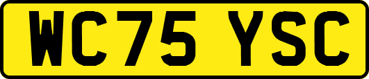 WC75YSC