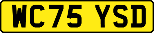 WC75YSD