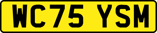 WC75YSM