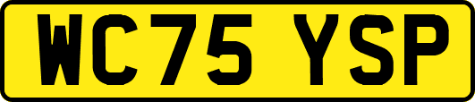 WC75YSP