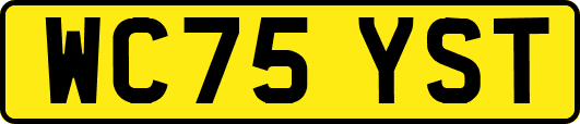 WC75YST