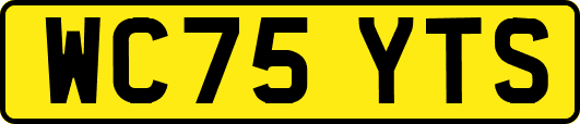 WC75YTS