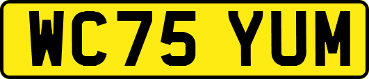 WC75YUM
