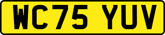 WC75YUV