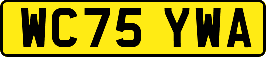 WC75YWA