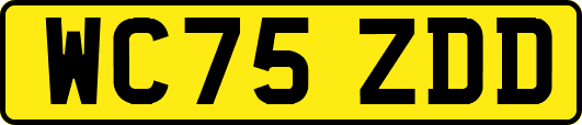 WC75ZDD