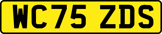 WC75ZDS