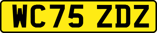 WC75ZDZ