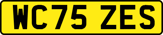 WC75ZES