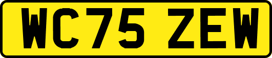 WC75ZEW