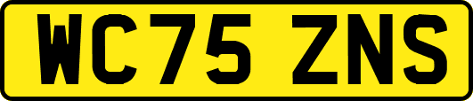 WC75ZNS